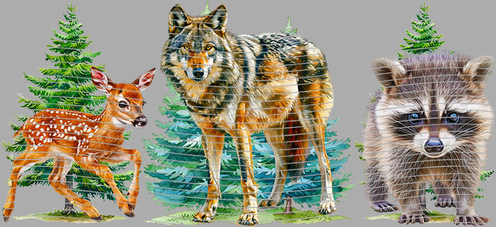 16oz Animal-AA-1767